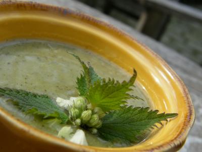 Gastronomie Soupe d'orties, Somme