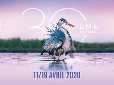 festival oiseau 2020, Somme