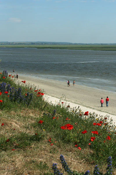 Plage, le Crotoy, Somme