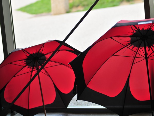 Parapluies poppy coquelicots, Somme