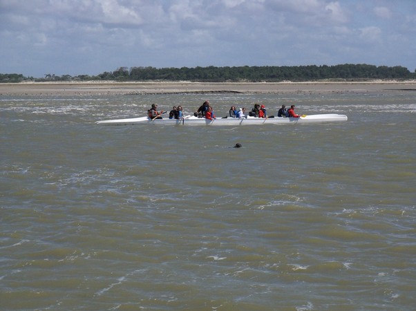 Pirogue Baie des phoques, Somme